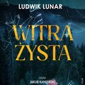 Witrażysta - audiobook