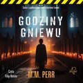 Kryminał, sensacja, thriller: Godziny gniewu - audiobook
