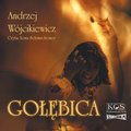 Praktyczna edukacja, samodoskonalenie, motywacja: Gołębica - audiobook