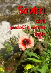 : Savitri. Czyli powieść o wiernej żonie - ebooki