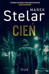 : Cień - ebooki