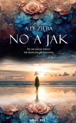 : No a jak - ebook