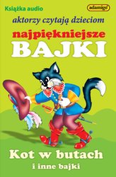 : Dzikie gęsi - audiobooki
